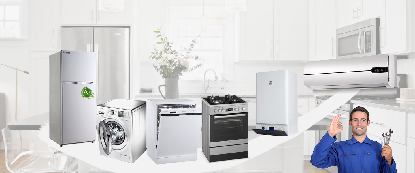 Bahçe Grundig Servisi